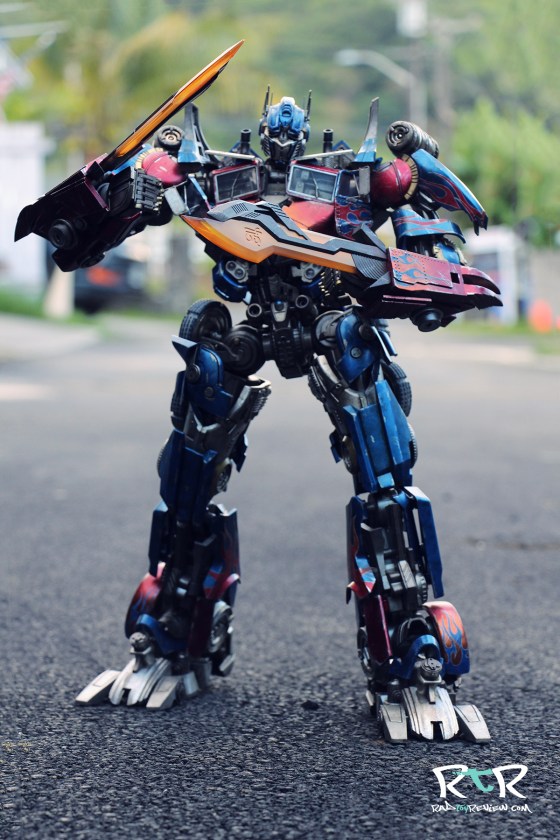 28654768413_1b726e682a_o