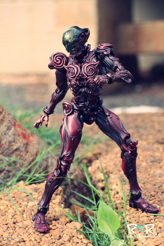 32647895620_75f54aae6e_h